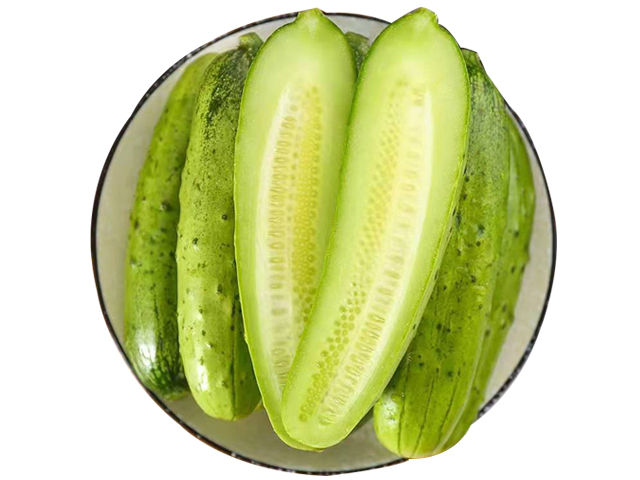 山东海阳翠玉黄瓜 现摘现发新鲜蔬菜 5斤