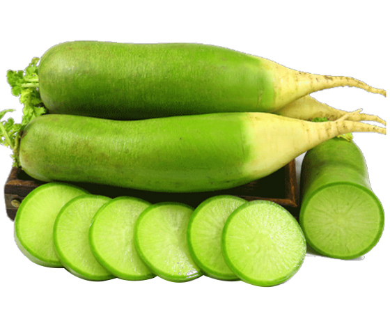 山东潍坊青萝卜 好吃的水果萝卜 色翠绿 味甘甜 脆嫩多汁 现拔现发 约