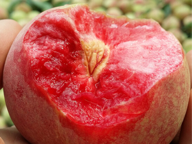 陕西血丝蜜桃(晚熟)新鲜现摘5斤