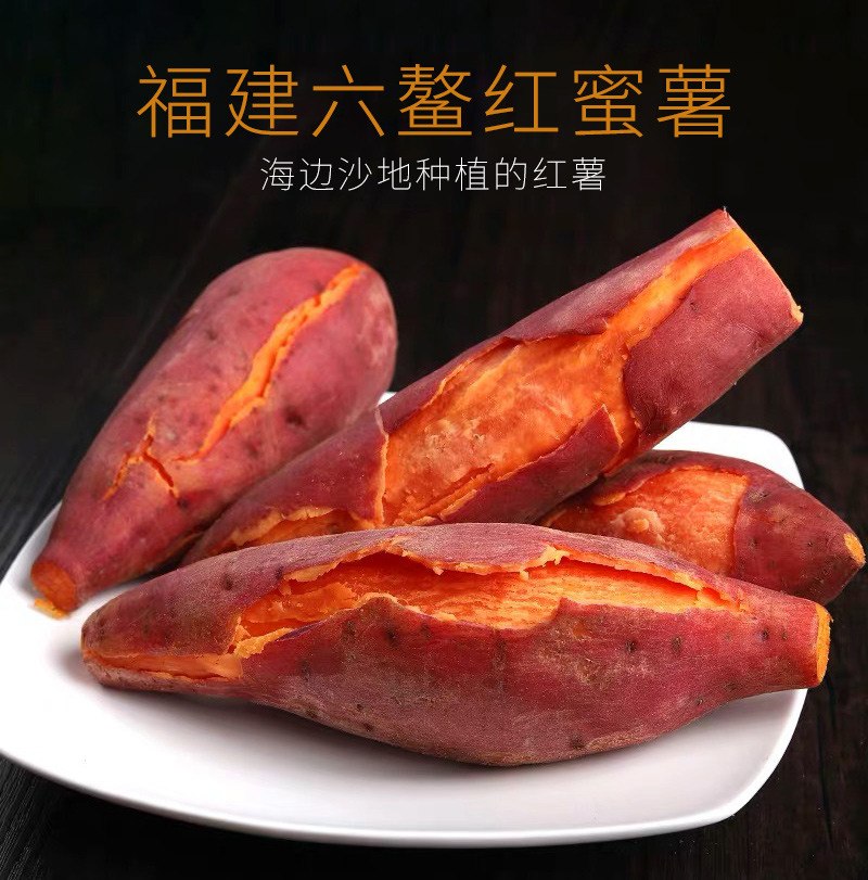 専用 小红薯6317様 4571609355700_1-768x768.webp