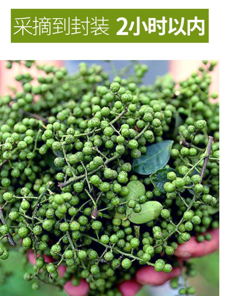 麻椒长什么样子图片,麻椒树苗图片,花椒长什么样子图片_大山谷图库